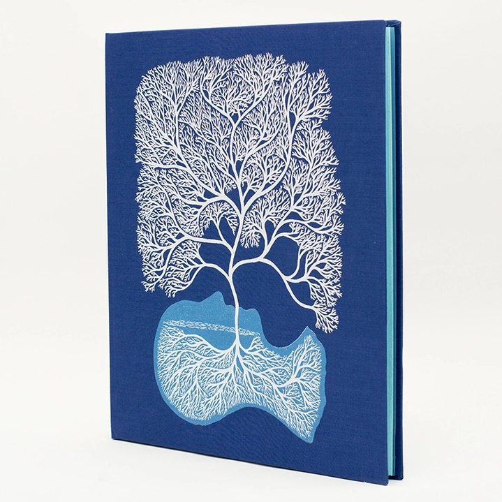 Extinto XL by Pep Carrió