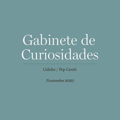 Workshop Cabinet of Curiosities – Caliche