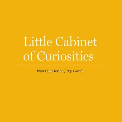 Workshop Little Cabinet of Curiosities – Print Club Torino